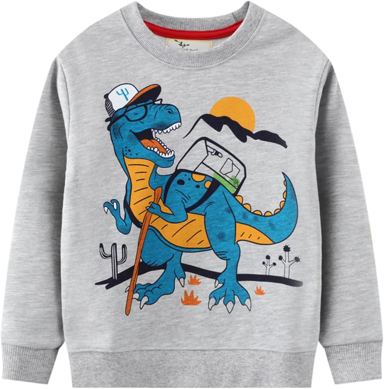 LOKTARC 2 Pack Toddler Boys Sweatshirts Patterned Long Sleeve Pullover Crewneck Tops Shirts