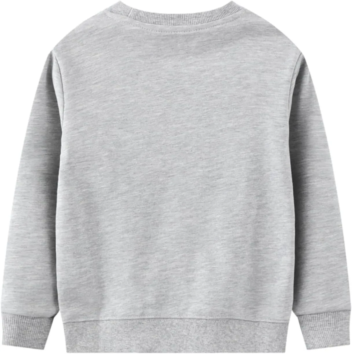 LOKTARC 2 Pack Toddler Boys Sweatshirts Patterned Long Sleeve Pullover Crewneck Tops Shirts